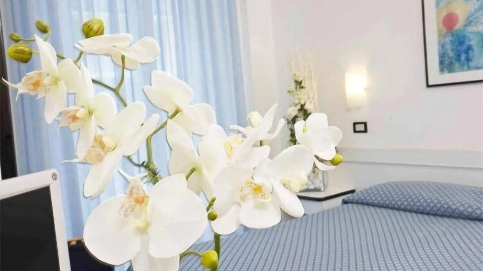 Hotel Elite Cattolica