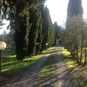 Sunshine , Florence Italie